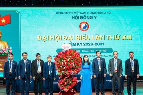Kết nối nhà trường, bệnh viện nâng cao chất lượng đào tạo y học cổ truyền