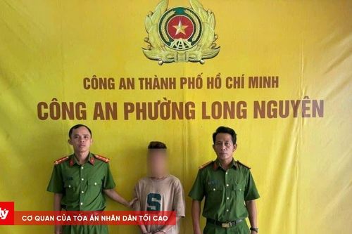 Bắt giữ nghi phạm trộm tài sản tại Miếu Bà Chúa Xứ Nguyên Nhung