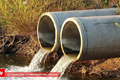 Phát hiện, xử lý 3 công ty vi phạm pháp luật về môi trường