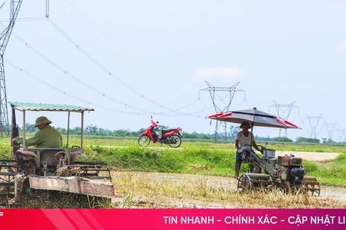Nông dân Hà Tĩnh tất bật làm đất sản xuất vụ hè thu