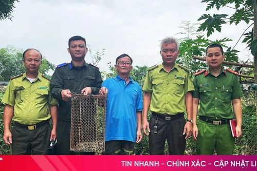 Bàn giao cá thể trăn đất cho Vườn Quốc gia Vũ Quang