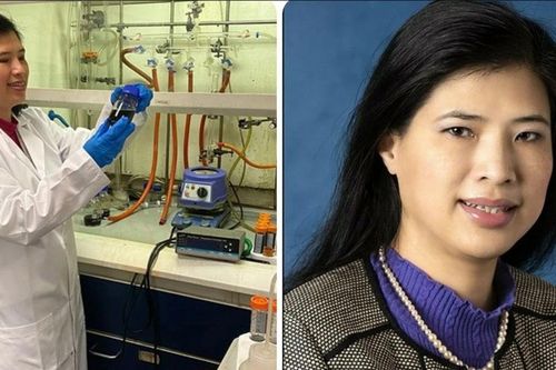 Công trình của Giáo sư gốc Việt góp mặt tại triển lãm khoa học danh giá của Anh
