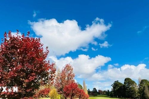 Vẻ đẹp quyến rũ và lay động lòng người của mùa Thu Australia