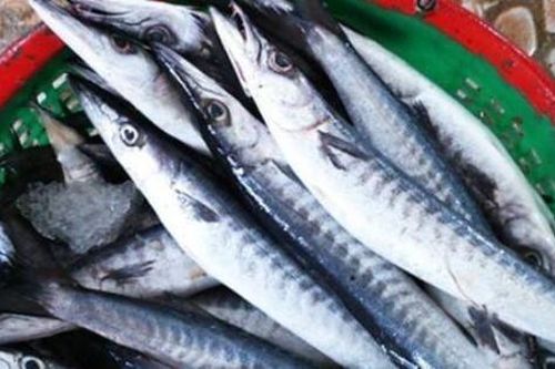 Loại cá nhọn hoắt có tên cực lạ, gây 'nghiện' bởi vị đậm tự nhiên hiếm có