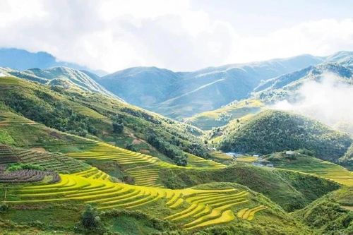 Vingroup, Sun Group và loạt doanh nghiệp 'đổ bộ' về Điện Biên