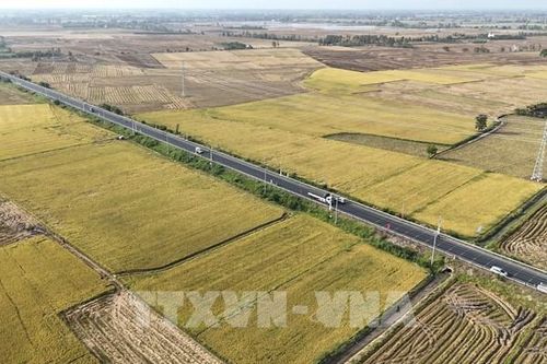 Hàn Quốc hỗ trợ dự án phát triển vùng trồng mè tại Việt Nam