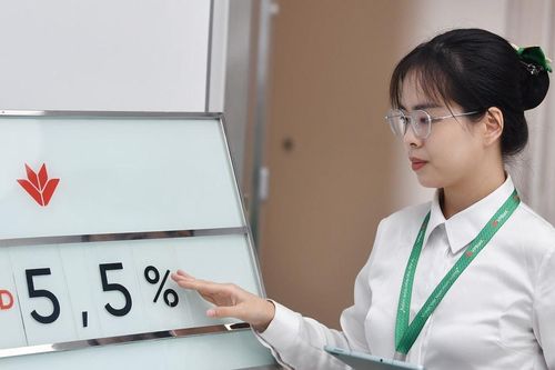 Lãi suất VPBank ngày 11/5/2026: Toàn bộ kỳ hạn 6-36 tháng xuống dưới 6%/năm