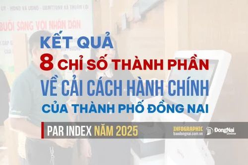 [Infographic] Kết quả 8 chỉ số thành phần về cải cách hành chính (PAR INDEX) năm 2025 của Đồng Nai ra sao?