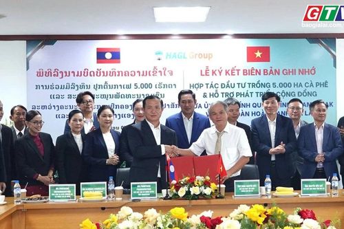 Điểm tin trưa: Tỉnh Champasak và Tập đoàn Hoàng Anh Gia Lai ký kết đầu tư 5.000 ha cà phê