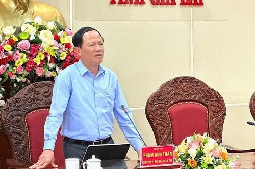 Chủ tịch UBND tỉnh Gia Lai làm việc với doanh nghiệp có hoạt động giao thương tại Campuchia