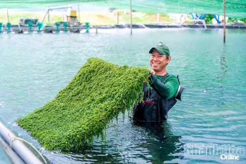 Nâng tầm thương hiệu Việt
