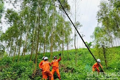 Đảm bảo an toàn hành lang lưới điện