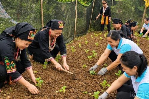 Mô hình 'Phụ nữ 3 không' ở Phong Dụ Thượng: 'Lá chắn mềm' quét sạch ma túy từ mỗi gia đình