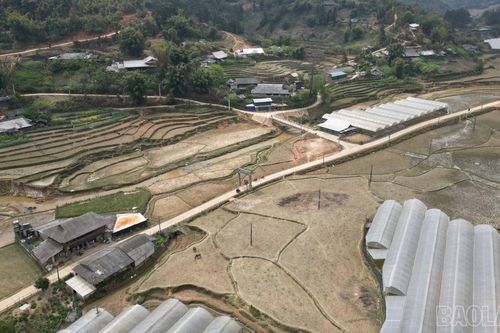 Púng Luông: Phát huy hiệu quả nguồn lực Chương trình mục tiêu quốc gia