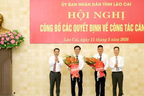 Lào Cai bổ nhiệm Giám đốc Trung tâm Phát triển quỹ đất và Trung tâm Xúc tiến đầu tư, Thương mại và Du lịch tỉnh