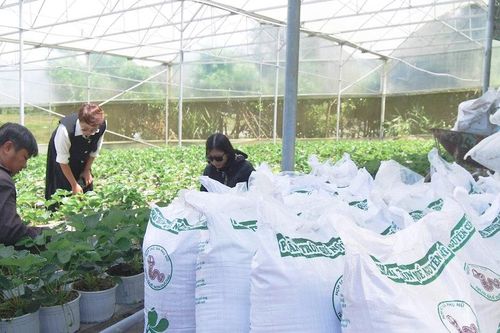 Tái tạo chất thải chăn nuôi thành nguồn tài nguyên