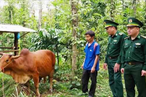 Bộ đội biên phòng chung tay xây dựng nông thôn mới vùng biên