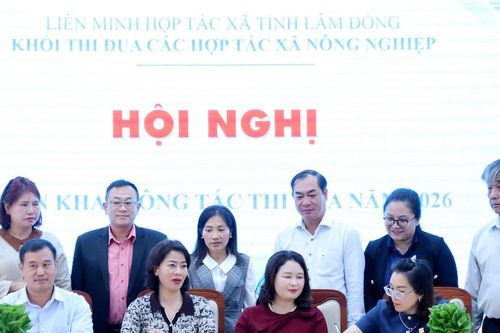 Các hợp tác xã nông nghiệp Lâm Đồng phát động phong trào thi đua năm 2026
