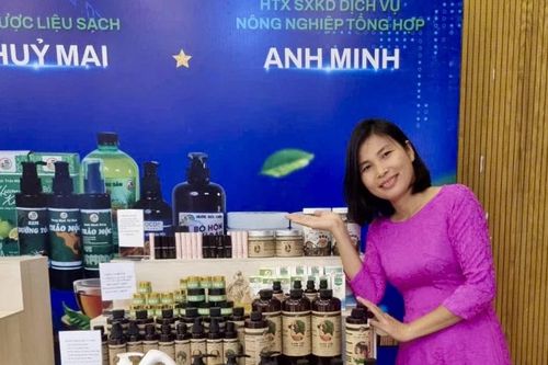 Nâng tầm thảo mộc bản địa