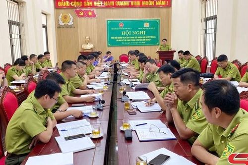Tiếp nhận, giải quyết tố giác về tội phạm trong lĩnh vực lâm nghiệp