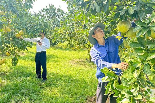 Chuyển đổi sản xuất để gia tăng giá trị nông sản