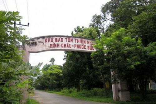 TP.HCM: Tỷ lệ che phủ rừng tại Bà Rịa – Vũng Tàu (cũ) đạt 14,23%