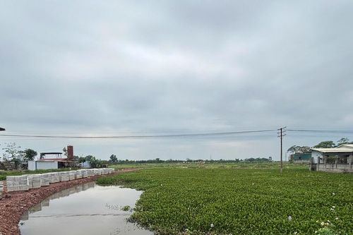 Bắc Ninh: Hơn 6.900m2 đất lúa bị hủy hoại ở xã Tân Dĩnh, chính quyền vào cuộc quyết liệt ra sao?