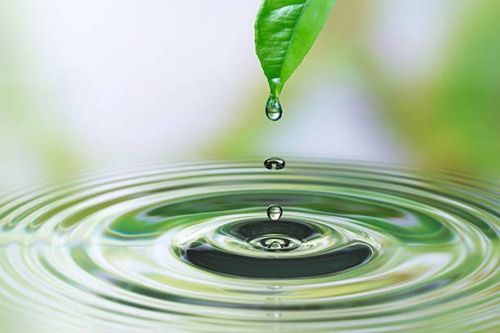 Nhận thức về 'thân thể' như con đường giác ngộ trong Thiền tông Trung Quốc