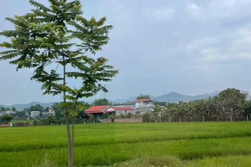 Thời tiết các khu vực trong tỉnh ngày 12/5 đêm có mưa rào nhẹ ở vài nơi, ngày trời nắng gián đoạn