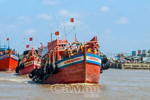 Vươn lên từ biển, làm giàu từ biển