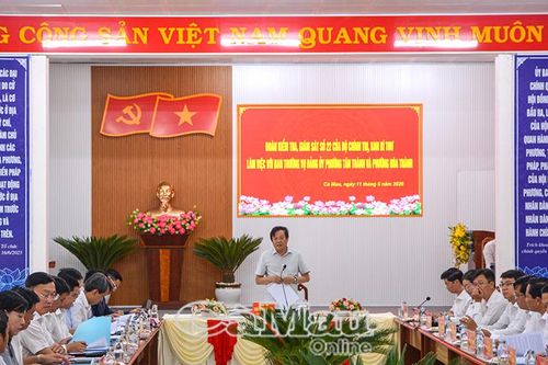 Khảo sát việc vận hành chính quyền cơ sở tại Tân Thành, Hoà Thành