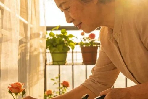 Về già, chỉ cần có chút tiền lương hưu, tôi nhất định sẽ không sống cùng con cái vì lẽ này!