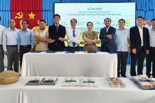 Giữ đồng bằng từ những cánh đồng lúa mùa nổi