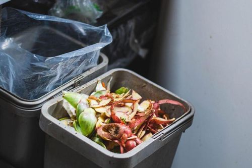 Trời nóng, làm sao để loại bỏ mùi hôi thùng rác nhanh chóng?