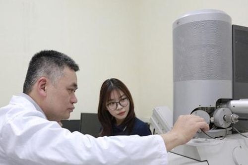 Chuẩn hóa vườn ươm: Bước đi cần thiết để nâng chất lượng hệ sinh thái khởi nghiệp