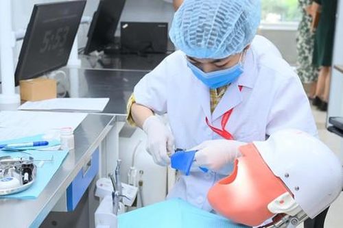Lo ngại khoảng trống kiến thức nền tảng khi xét tuyển khối ngành Sức khỏe bằng môn xã hội