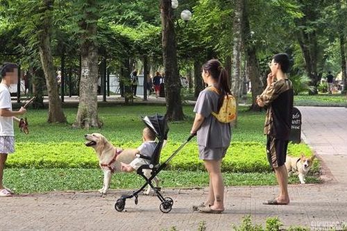 Dạo công viên trong nỗi thấp thỏm vì chó không rọ mõm