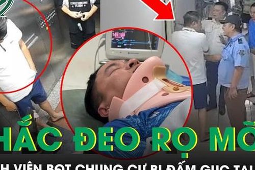 Nhắc đeo rọ mõm cho chó, thành viên Ban Quản trị chung cư bị đấm gục tại chỗ