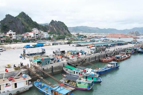 Quảng Ninh: Công bố mở cảng cá Cái Rồng tại đặc khu Vân Đồn