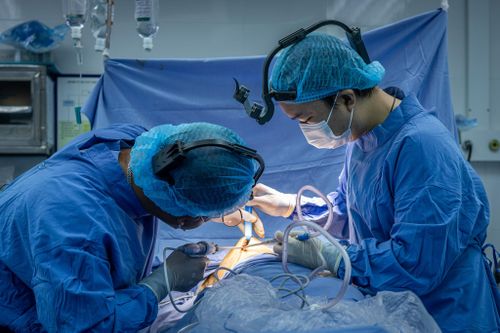 Ngành học lương cao, cạnh tranh khốc liệt bậc nhất