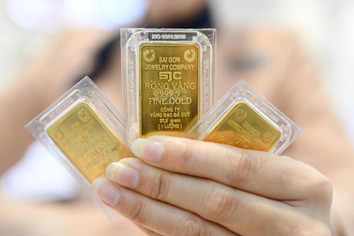 SJC lãi kỷ lục dù mất một nửa doanh thu