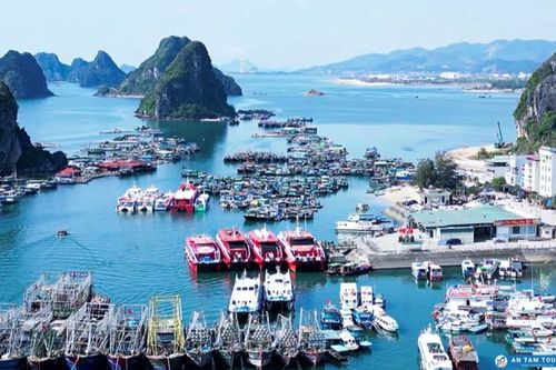 Quảng Ninh: Mở cảng Cái Rồng, phát triển dịch vụ hậu cần nghề cá