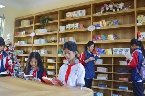 Chủ động, quyết liệt trong triển khai chính sách giáo dục