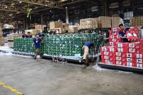 Chuyến hàng bay thứ 2 tiếp tục mở đường cho nông sản Việt Nam