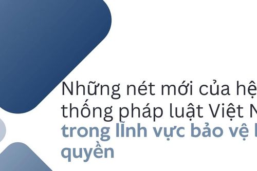 Những nét mới của hệ thống pháp luật Việt Nam trong lĩnh vực bảo vệ bản quyền