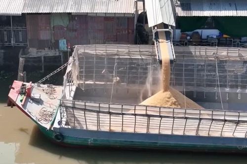 Sớm giải quyết dứt điểm tình trạng ô nhiễm bụi cám ở các nhà máy xay xát