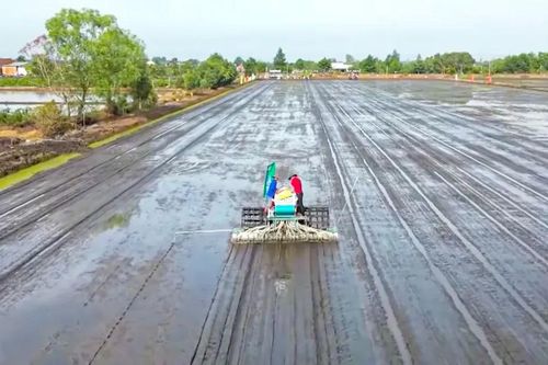 Kết nối chuỗi cung ứng phân bón cho Đề án 1 triệu ha lúa chất lượng cao