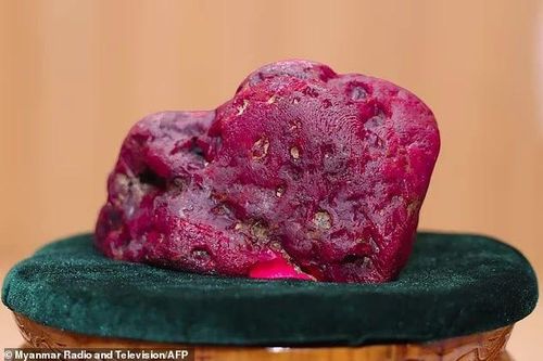 Viên ruby nặng bằng chú chó nhỏ ở Myanmar khiến giới kim hoàn xôn xao