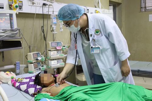 Trốn trong bụi cây, học sinh lớp 4 bị ong vò vẽ đốt nguy kịch