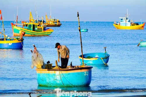 Làng chài Mũi Né: 'Tọa độ check-in' không thể rời mắt